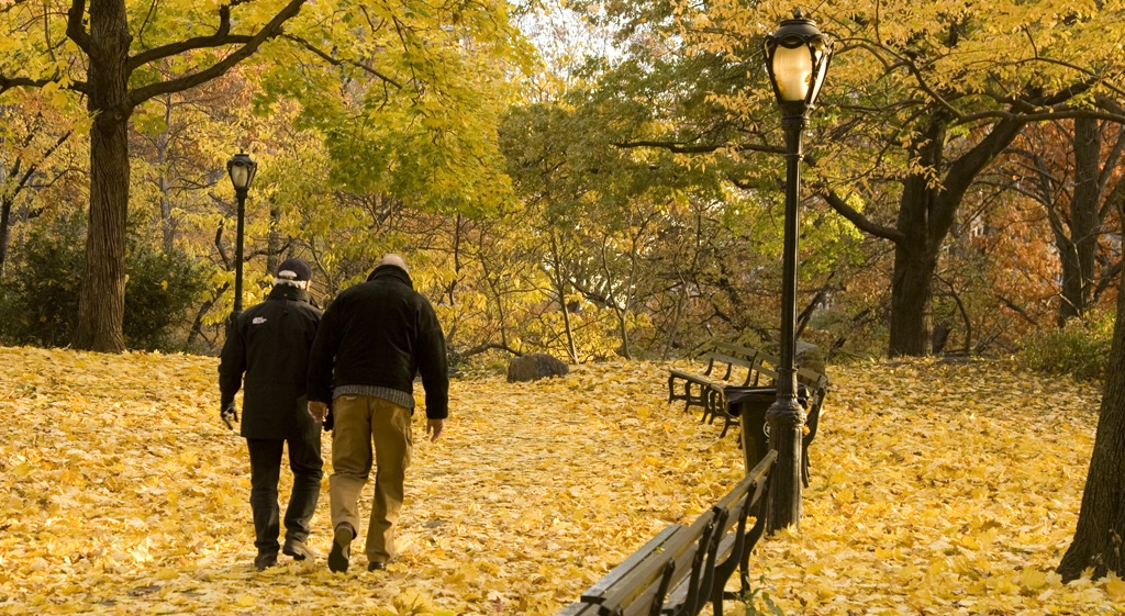 Primeros síntomas del alzheimer