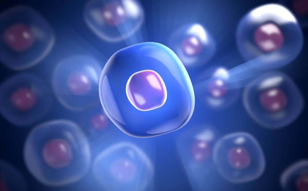 El plasma rico en plaquetas puede ser muy efectivo para evitar la caída del pelo