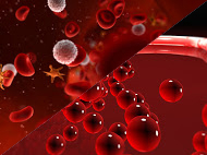 El hematólogo es el especialista médico encargado de prescribir un tratamiento para las plaquetas altas.